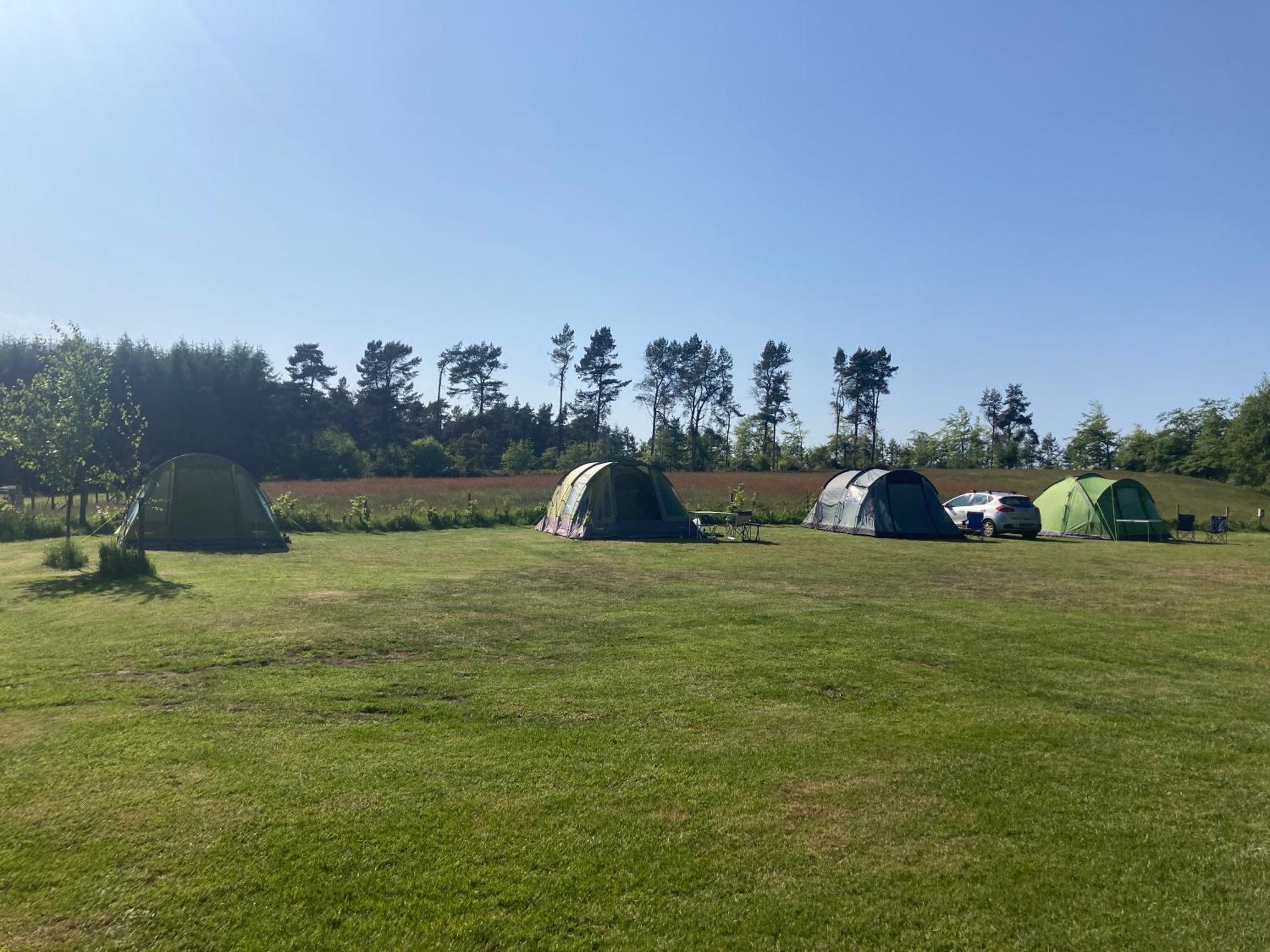 Bank Top Camping-North York Moors With Pitches For Caravans, Camper Vans And Tents Hotel Pickering Bagian luar foto